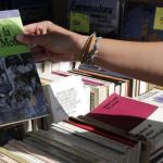 Una mujer ojea un libro en un stand. Foto: Patxi Cascante