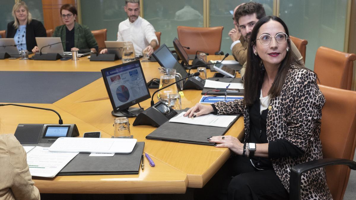 La consejera de Educación Begoña Pedrosa en una comisión parlamentaria.