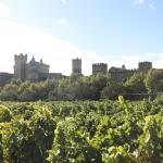 Vista del Palacio Real de Olite. Foto: Gobierno de Navarra