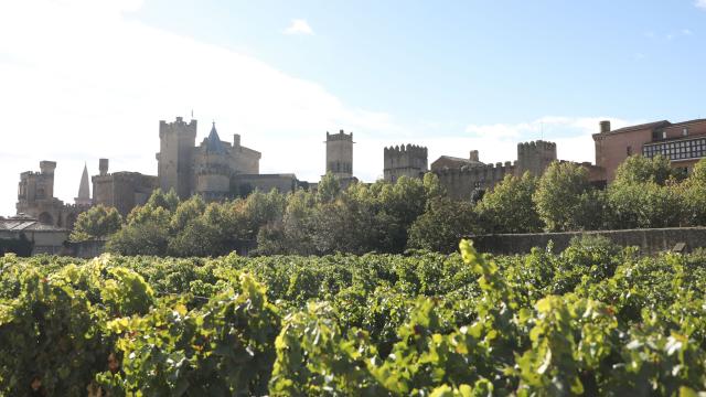 Vista del Palacio Real de Olite. Foto: Gobierno de Navarra Vista del Palacio Real de Olite. Foto: Gobierno de Navarra