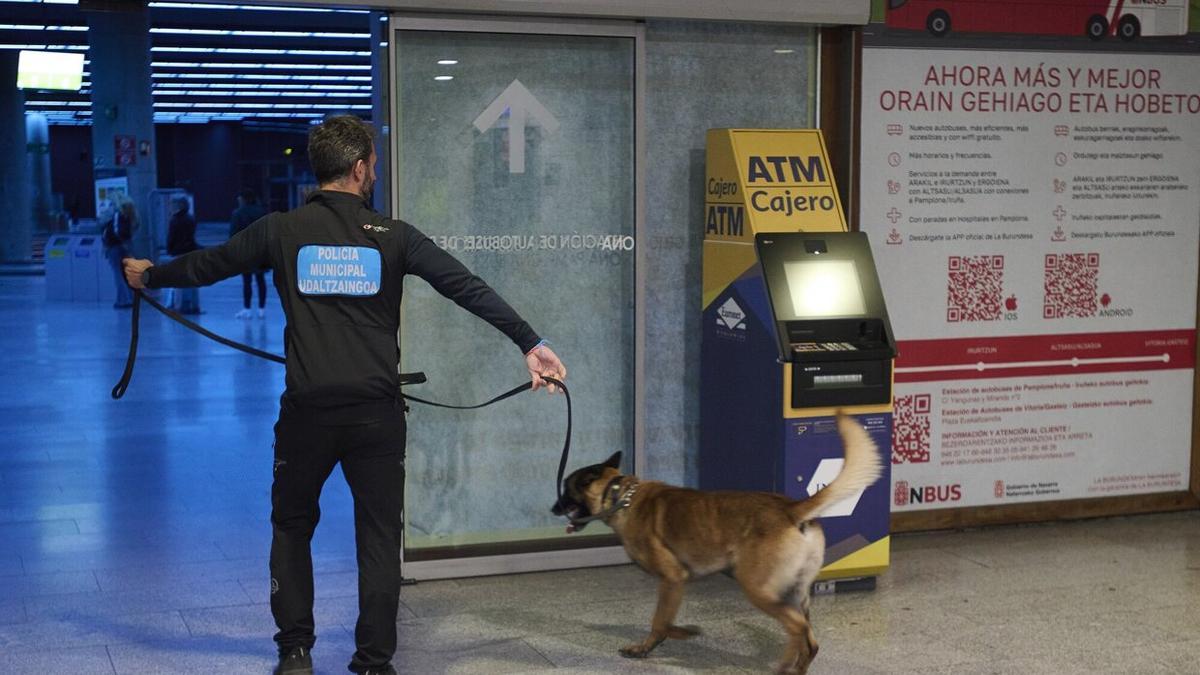 Tyrion y Zuri, los perros antidroga de la Policía Municipal de Pamplona