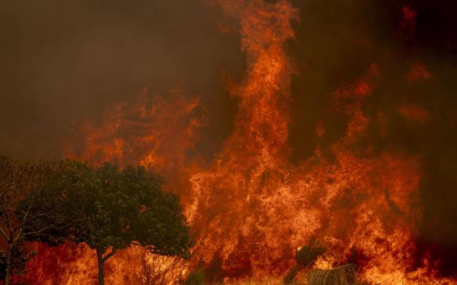 Incendios en Ourense: labores de extinción en un nuevo fuego declarado en A Gudiña