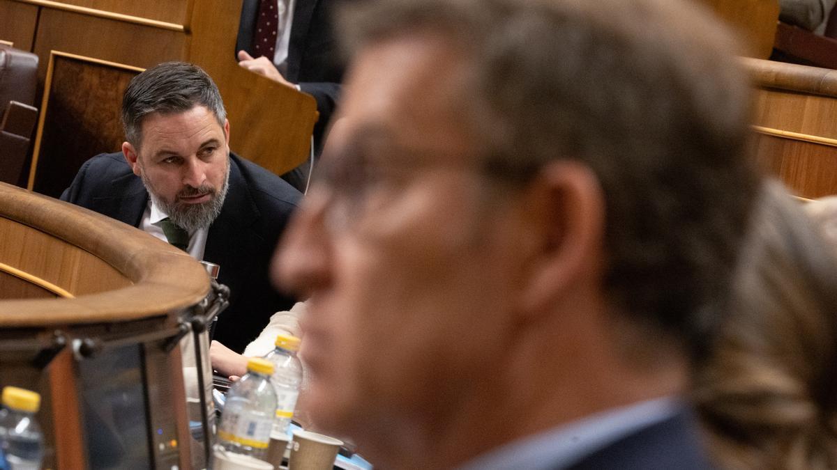 Santiago Abascal. al fondo, en una sesión del Congreso de los Diputados con Alberto Núñez Feijóo en primer plano.