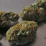 Imagen de marihuana sintética.