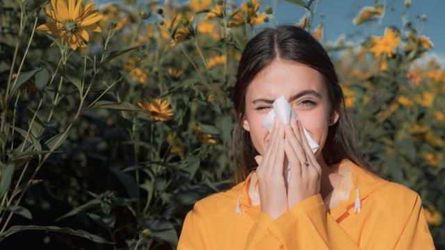 Estornudos, secreción nasal acuosa, picor de nariz y lagrimeo son los síntomas más comunes.