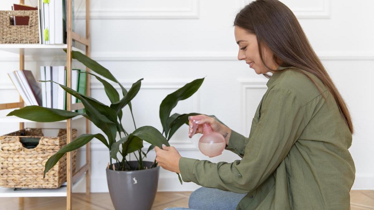 Chica pulveriza un poco de agua sobre las hojas de una planta de interior.