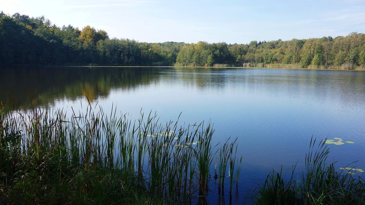 El lago Bogensee, cerca de Wandlitz, zona en la que se encuentra la villa.