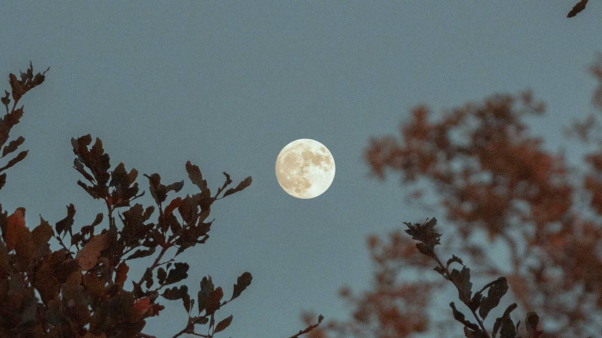 Imagen del fenómeno conocido como la Luna de las flores