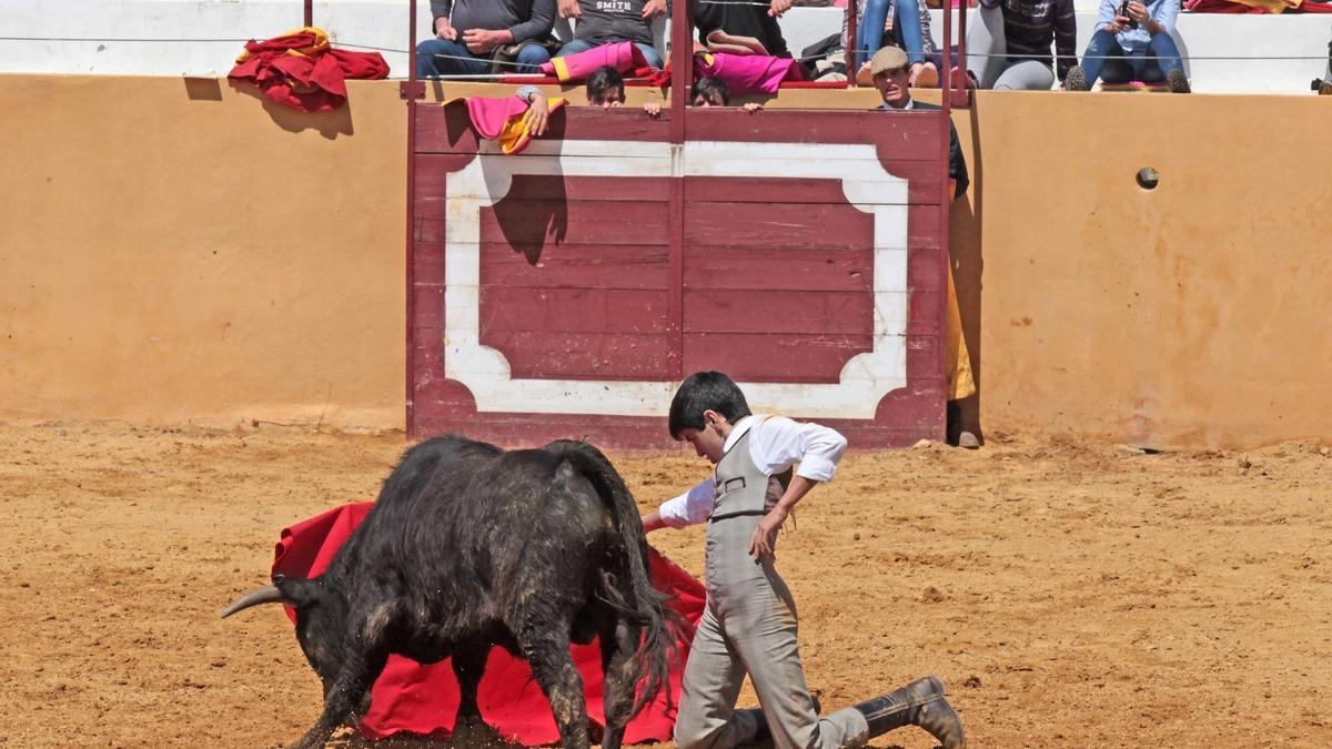 Un alumno de la Escuela Taurina de la Diputación de Badajoz.