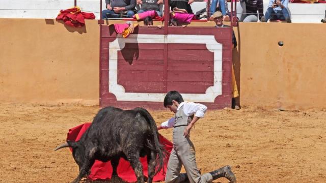 Un alumno de la Escuela Taurina de la Diputación de Badajoz.
