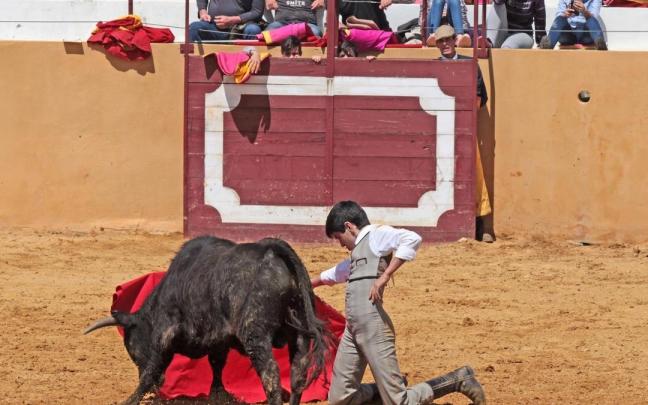 Un alumno de la Escuela Taurina de la Diputación de Badajoz.