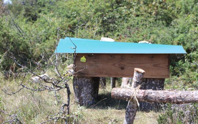 Programaren edizioaren irudia