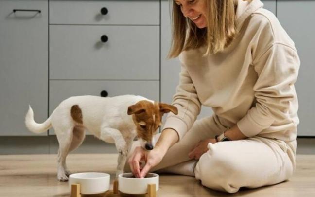 Cada vez más dueños optan por dietas caseras, ingredientes frescos y opciones alejadas de los piensos ultraprocesados.