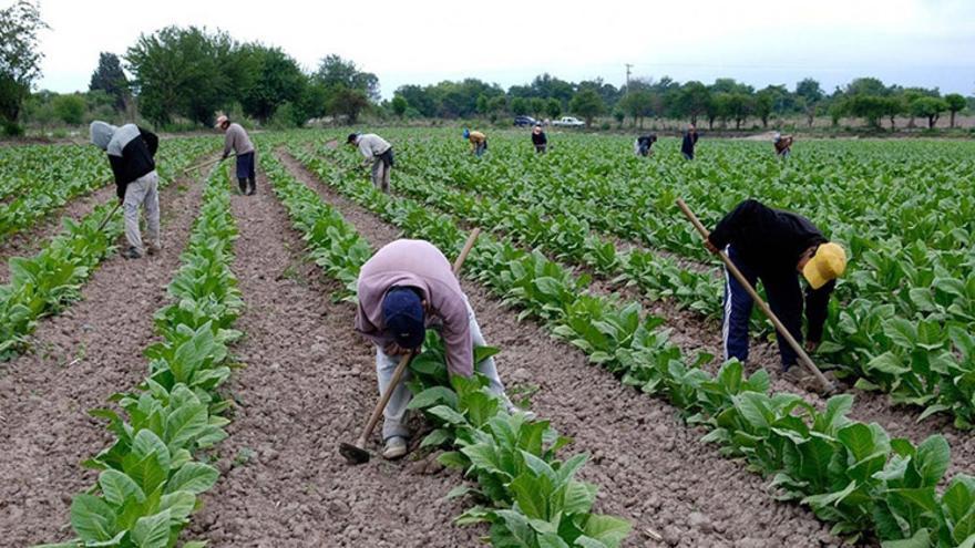 Trabajadores agrícolas.