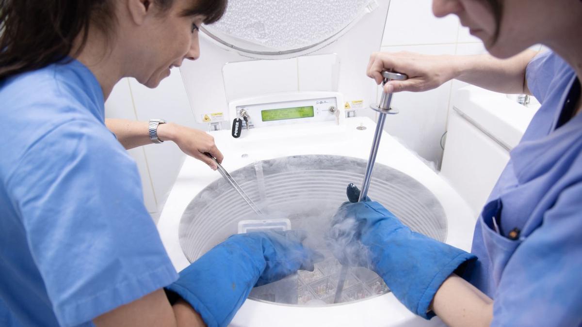 Dos jóvenes trabajan en un centro de investigación.