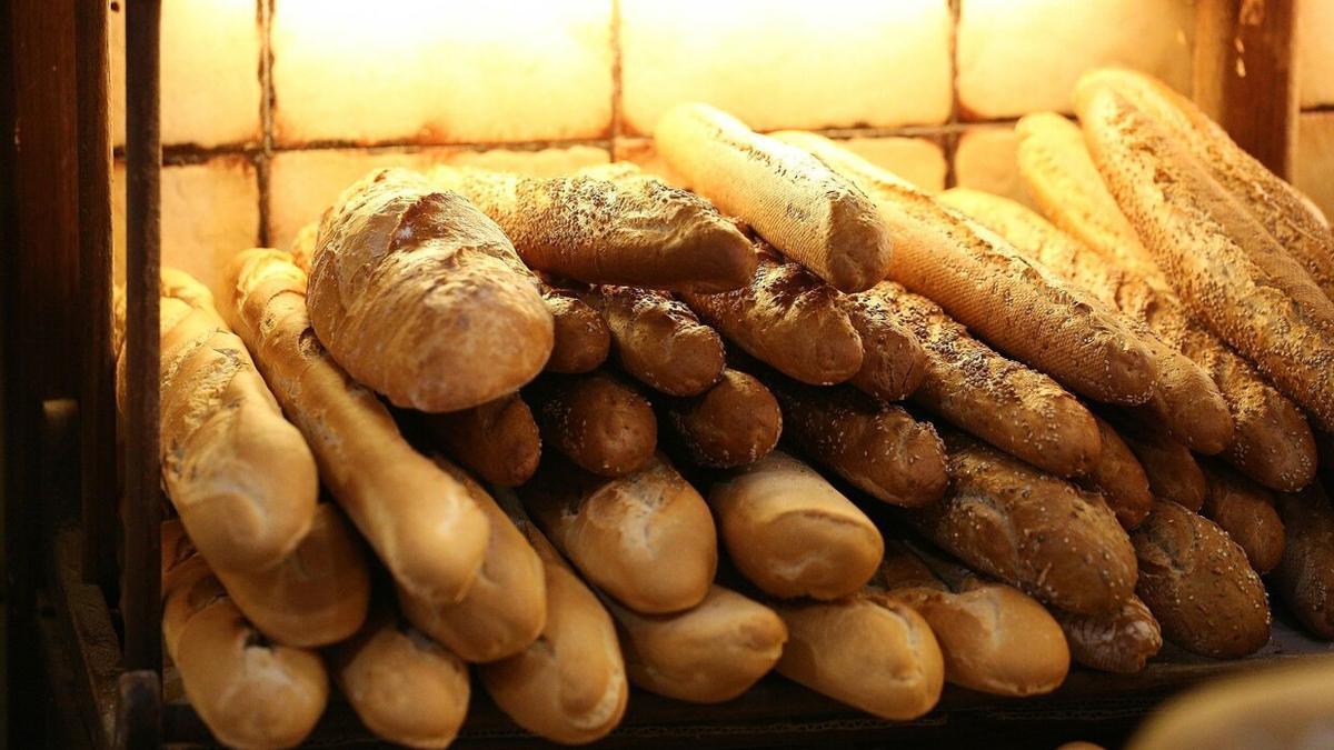 Barras de pan en mostrador de una panadería