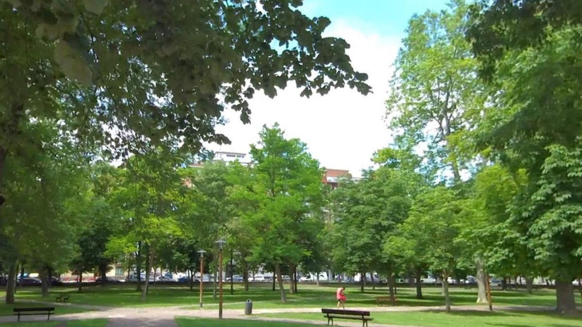 Gasteizko Udalak hiriko zuhaitzak berreskuratzeko plan integrala abiatuko du Prado parkean.