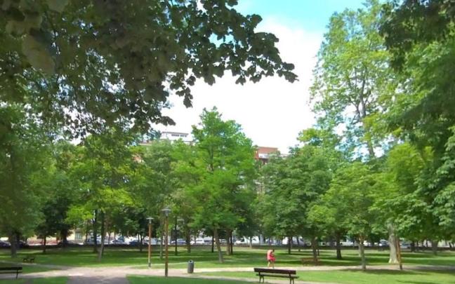 Gasteizko Udalak hiriko zuhaitzak berreskuratzeko plan integrala abiatuko du Prado parkean.