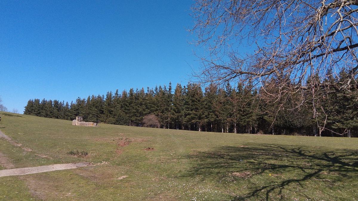 Zona arbolada en Orozko (Bizkaia)