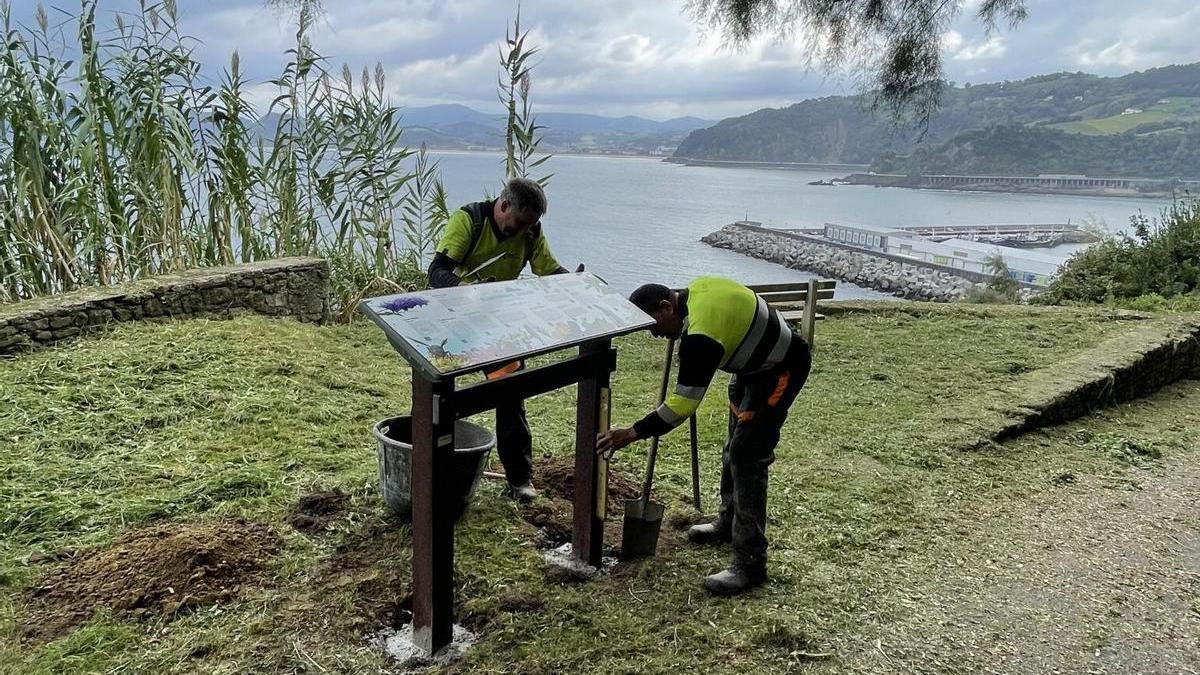 Trabajadores instalando un panel didáctico en el monte San Anton de Getaria.