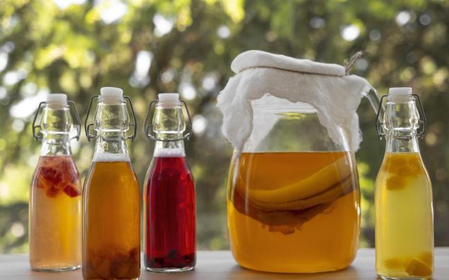 Variedades de kombucha