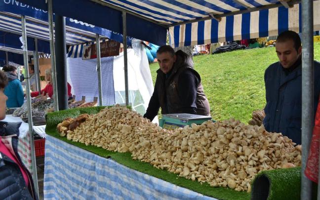 Stand de perretxikos en una anterior edición