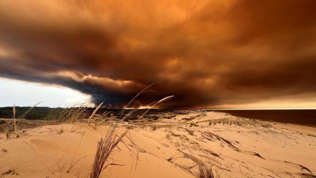 Incendio forestal en Francia.