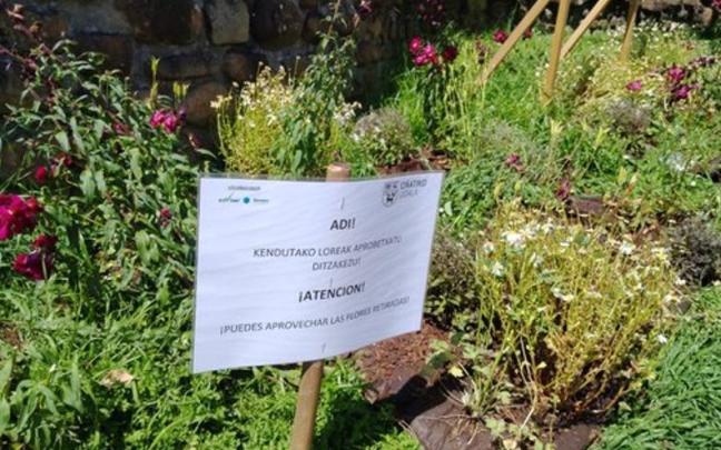 Avisos colocados en los jardines donde se retiran plantas y flores.