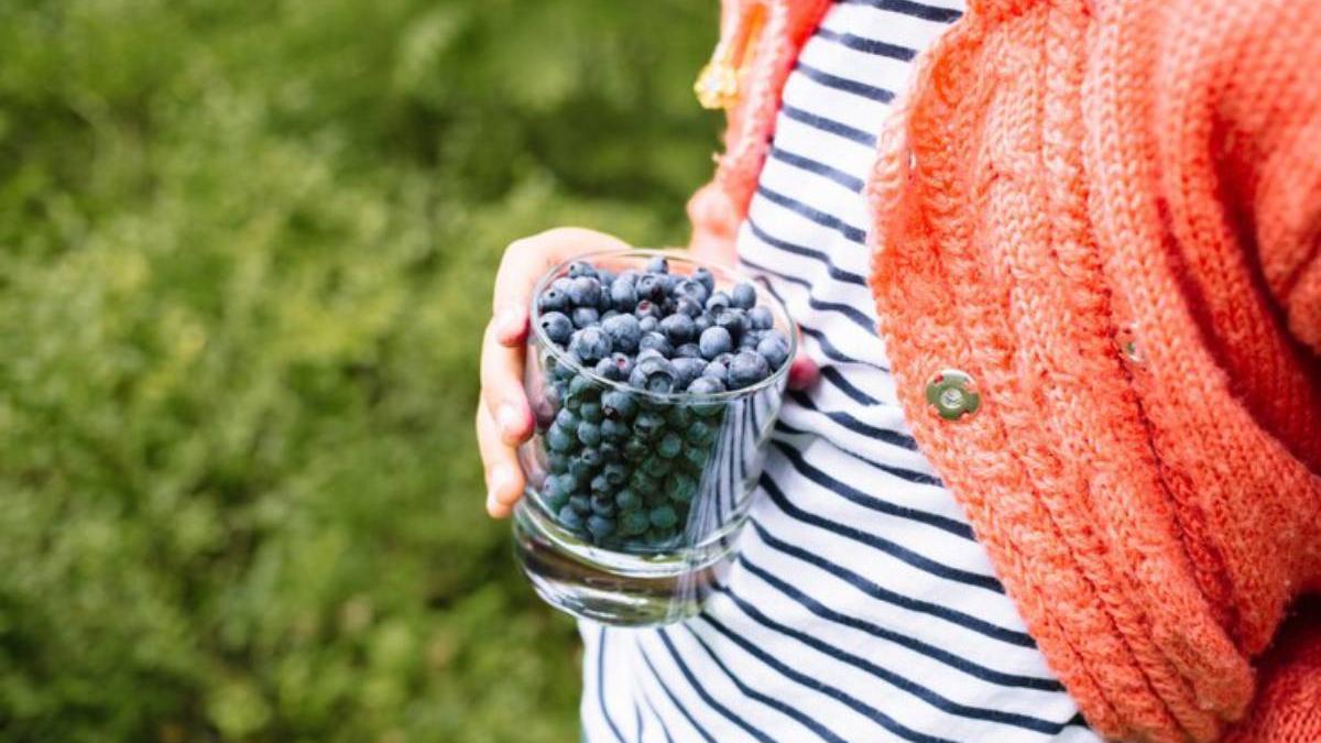 Chica con un vaso lleno de arándanos en las manos