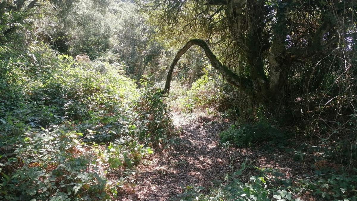 Vamos atravesando la cresta por preciosos senderos estrechos