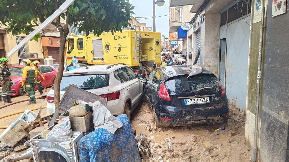 Brigadas forestales de la Región de Murcia que se ayudaron en la limpieza y reconstrucción de las zonas asoladas por la dana.