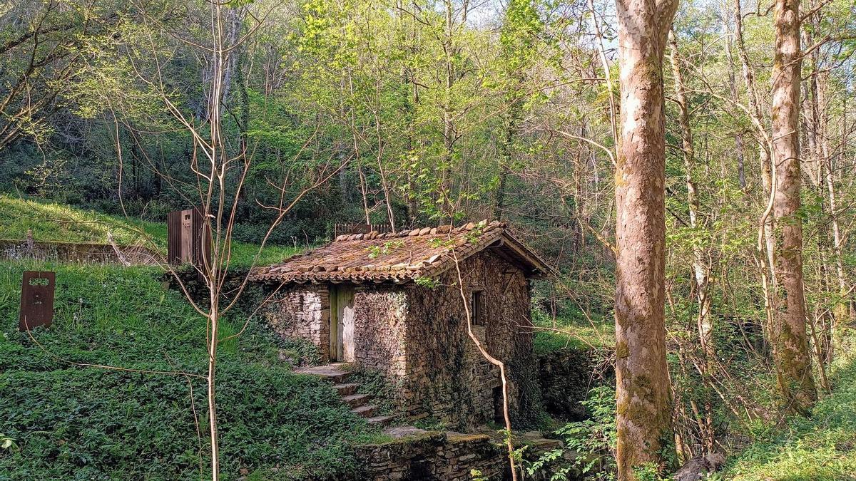 molino de argin berri (3)