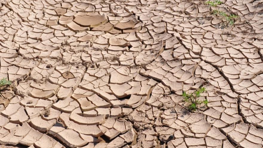 El sistema es especialmente eficaz para reforzar la alerta temprana de sequías, anticipar medidas de gestión, reducir impactos socioeconómicos y aumentar la resiliencia frente al cambio climático.