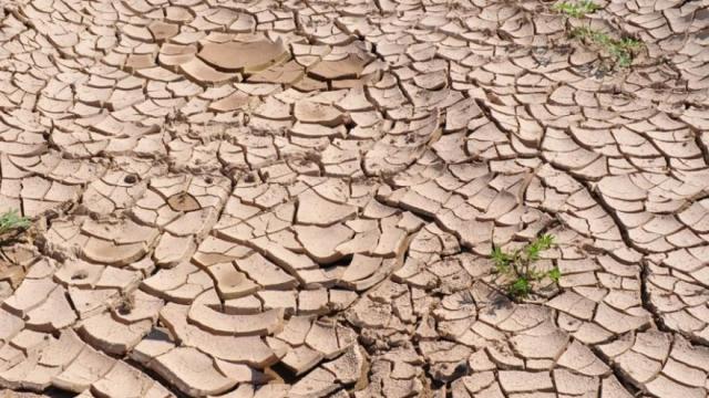 El sistema es especialmente eficaz para reforzar la alerta temprana de sequías, anticipar medidas de gestión, reducir impactos socioeconómicos y aumentar la resiliencia frente al cambio climático.