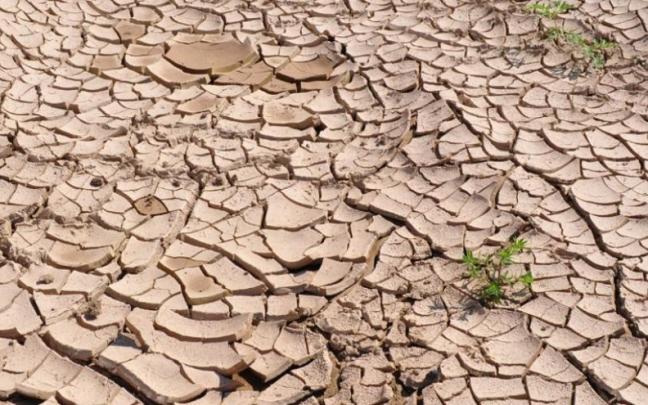 El sistema es especialmente eficaz para reforzar la alerta temprana de sequías, anticipar medidas de gestión, reducir impactos socioeconómicos y aumentar la resiliencia frente al cambio climático.