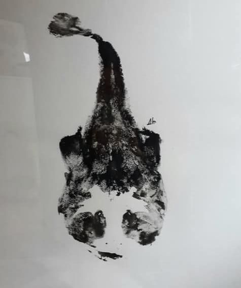 Echevarría ha probado múltiples técnicas artísticas a lo largo de su vida.