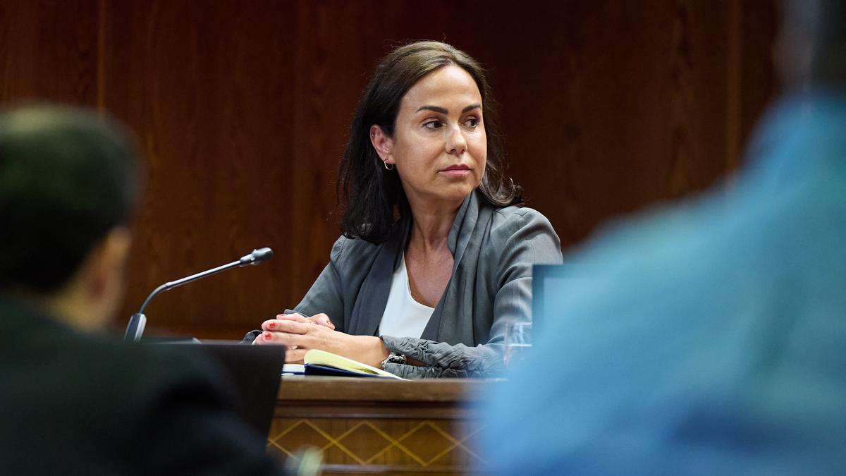 La expresidenta de Adif y ex secretaria de Estado de Transportes, Movilidad y Agenda Urbana, Isabel Pardo de Vera Posada