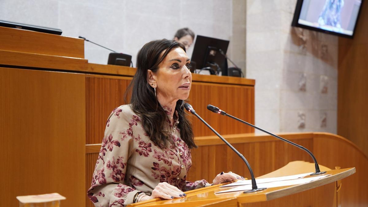 Marta Fernández de Vox ocupará la presidencia de la Camara.