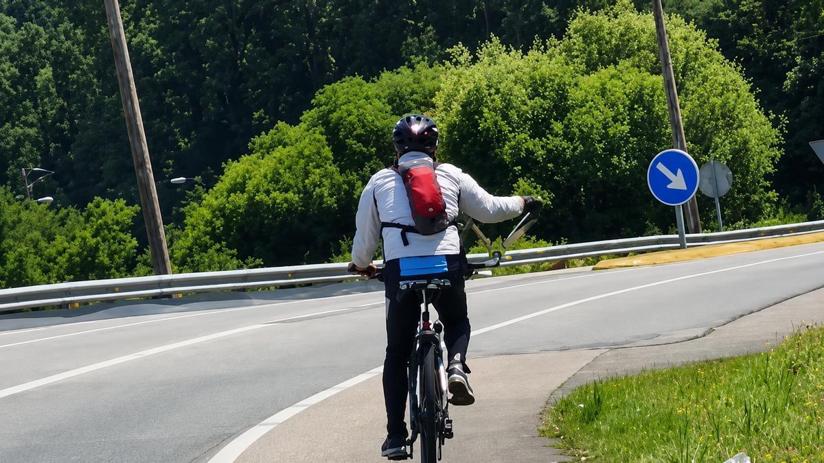Imagen del ciclista paseando a un loro en plena carretera