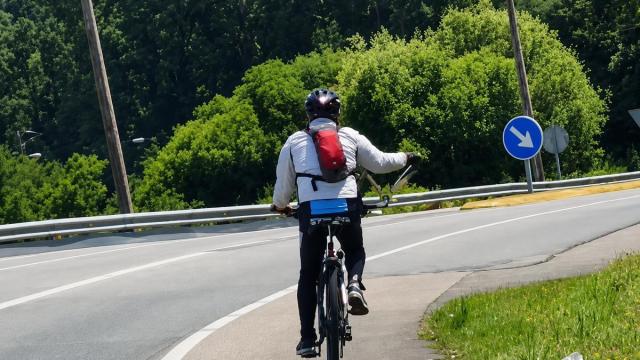 Imagen del ciclista paseando a un loro en plena carretera