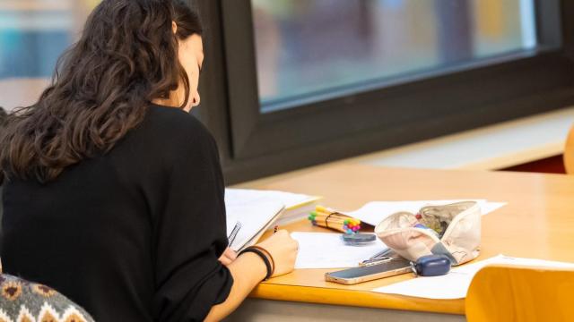 Una estudiante de la Universidad del País Vasco.