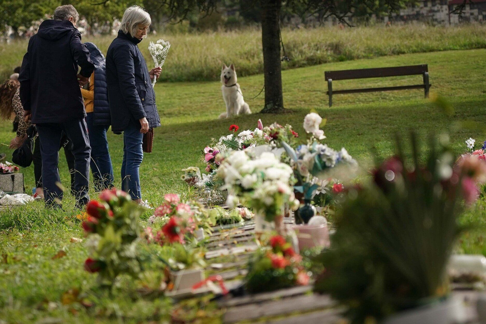 Flores en el cementerio de Bilbao.