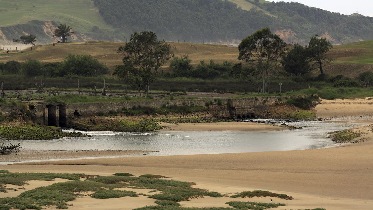 La marisma de Oyambre con marea baja.