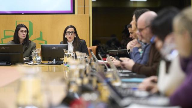 La consejera de Educación, Begoña Pedrosa, en la Comisión de Educación del miércoles.