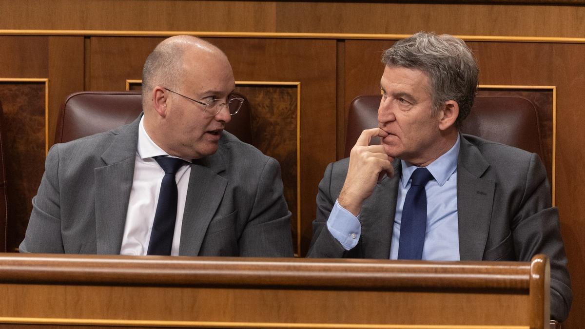 El portavoz del Grupo Popular en el Congreso, Miguel Tellado, y el presidente del PP, Alberto Núñez Feijóo, en una foto de archivo.