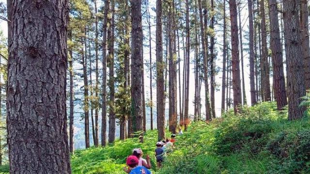 Valoración positiva de los talleres municipales de educación ambiental