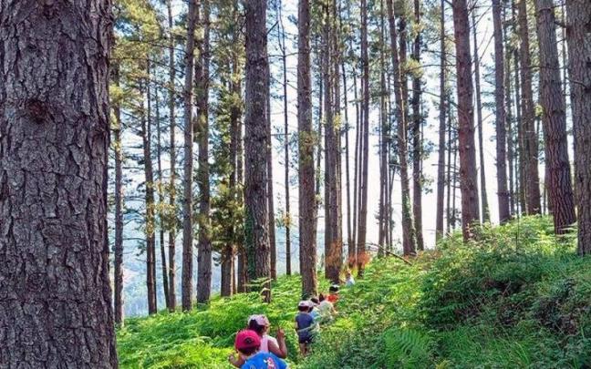 Valoración positiva de los talleres municipales de educación ambiental