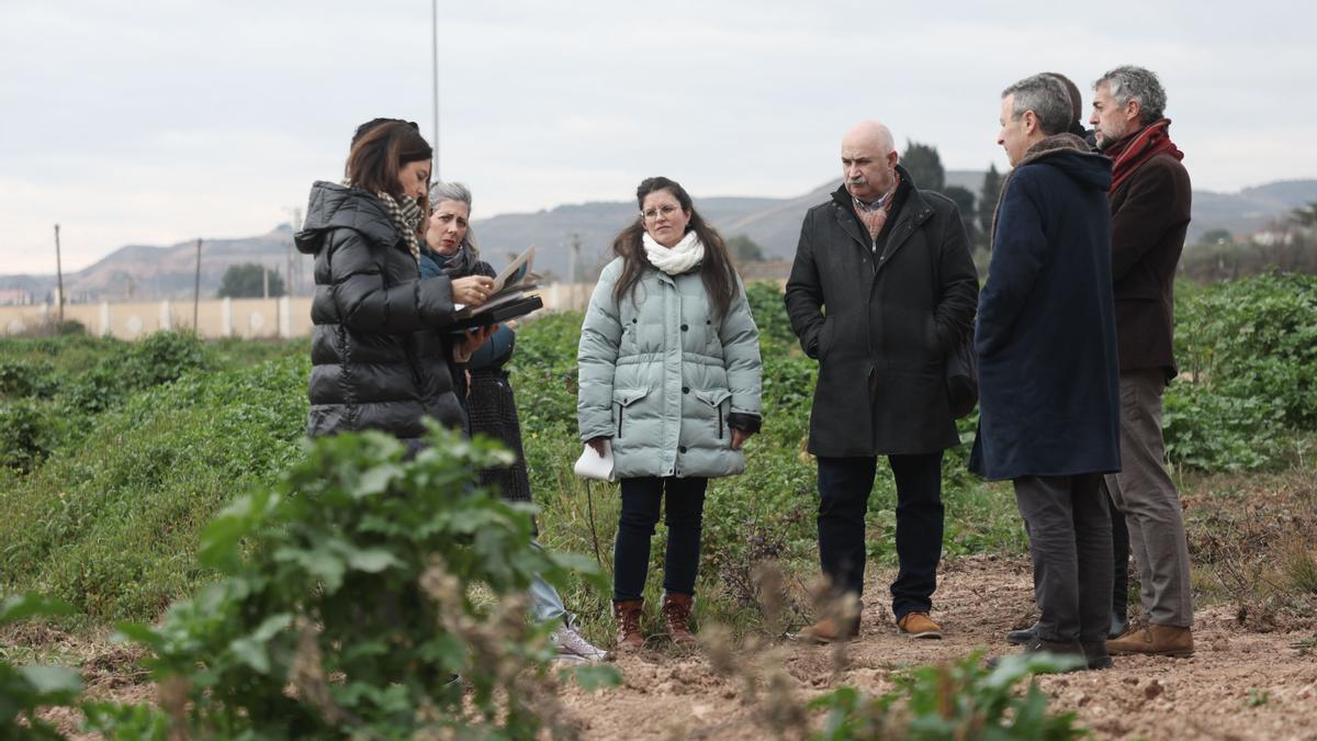 El vicepresidente Aierdi, junto a la alcaldesa de Lodosa, Lourdes San Miguel, y el equipo técnico en la visita al solar donde se construirán las viviendas de protección oficial.