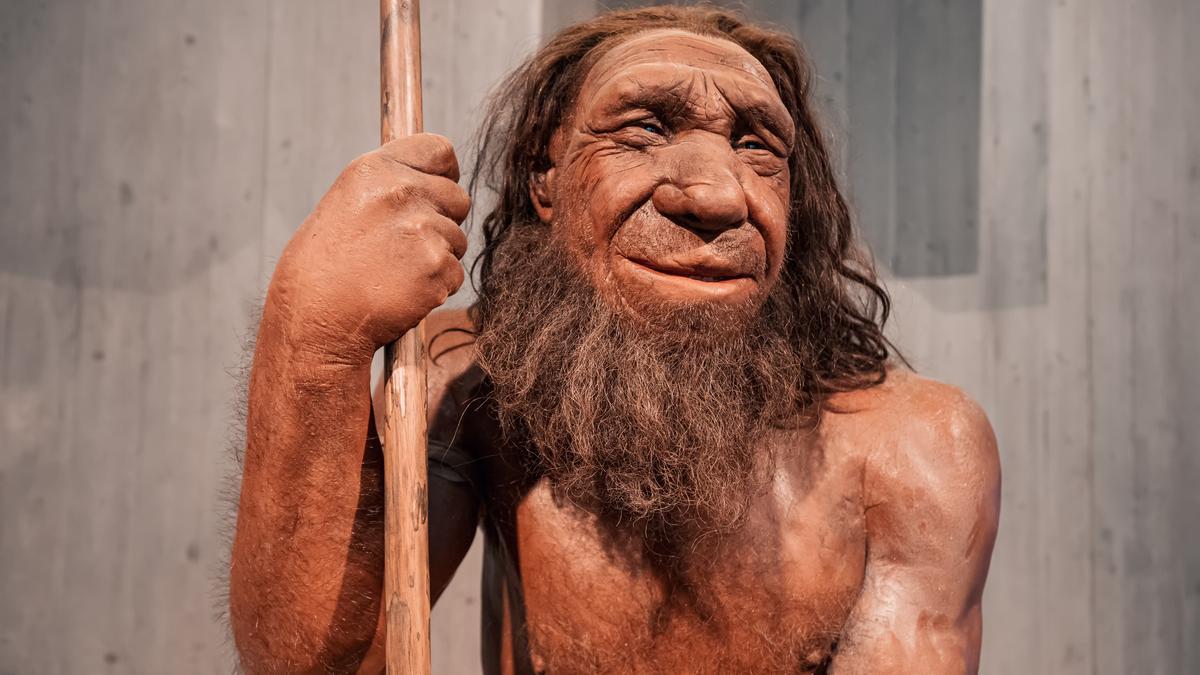 Recreación de in hombre de Neandertal en el alemán Neanthjertal Museum, en Alemania.