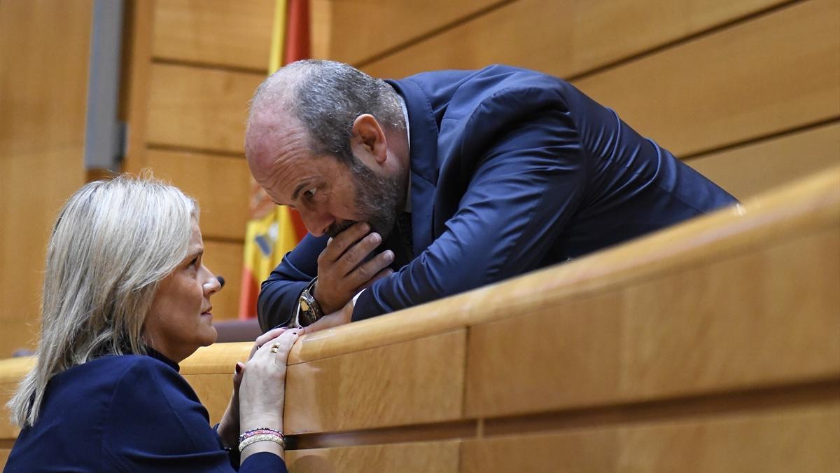 El Senado vota la reforma que permite una reducción de pena a varios presos de ETA.